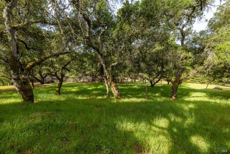 0 Rim Rock Way Santa Rosa CA 95404