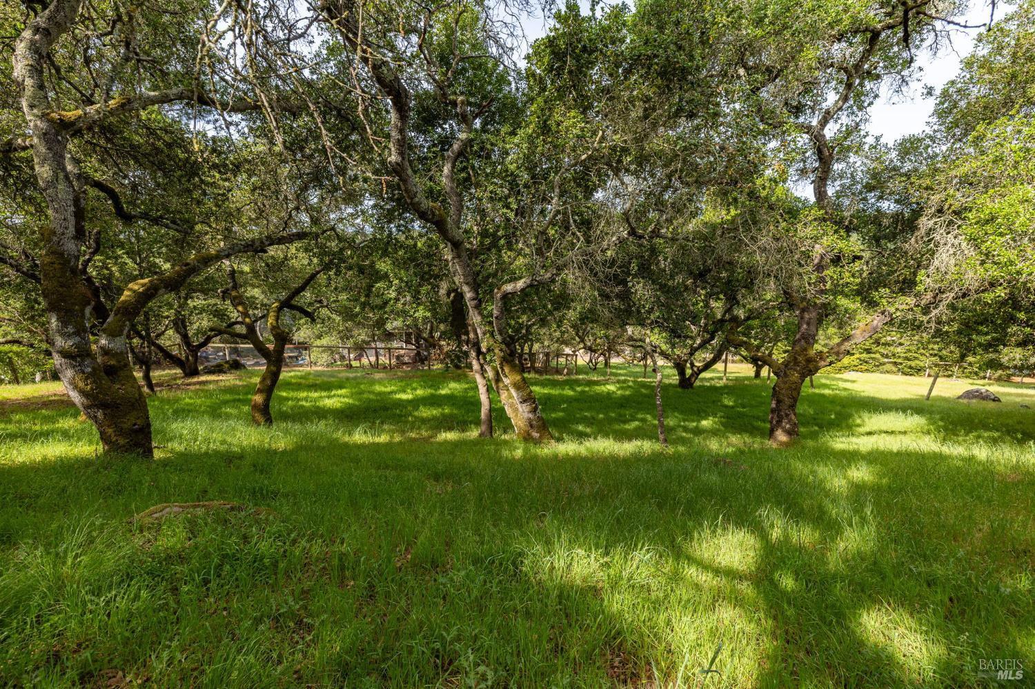 0 Rim Rock Way Santa Rosa CA 95404