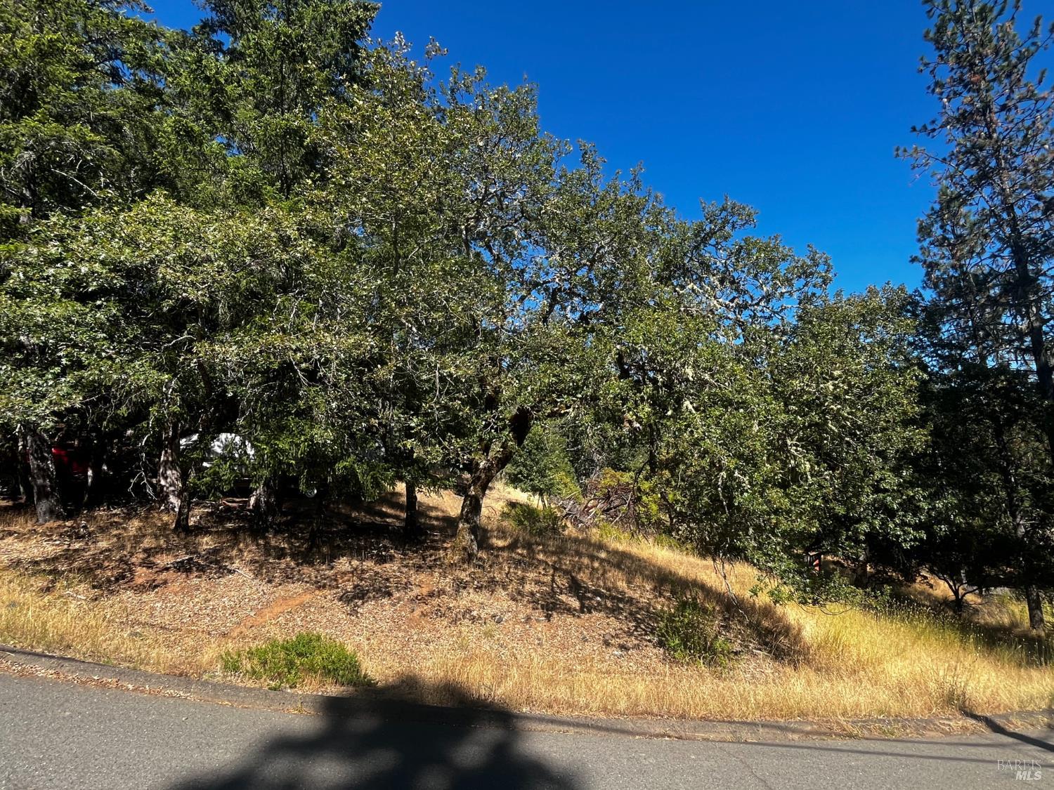 1721 Crawford Drive Willits CA 95490