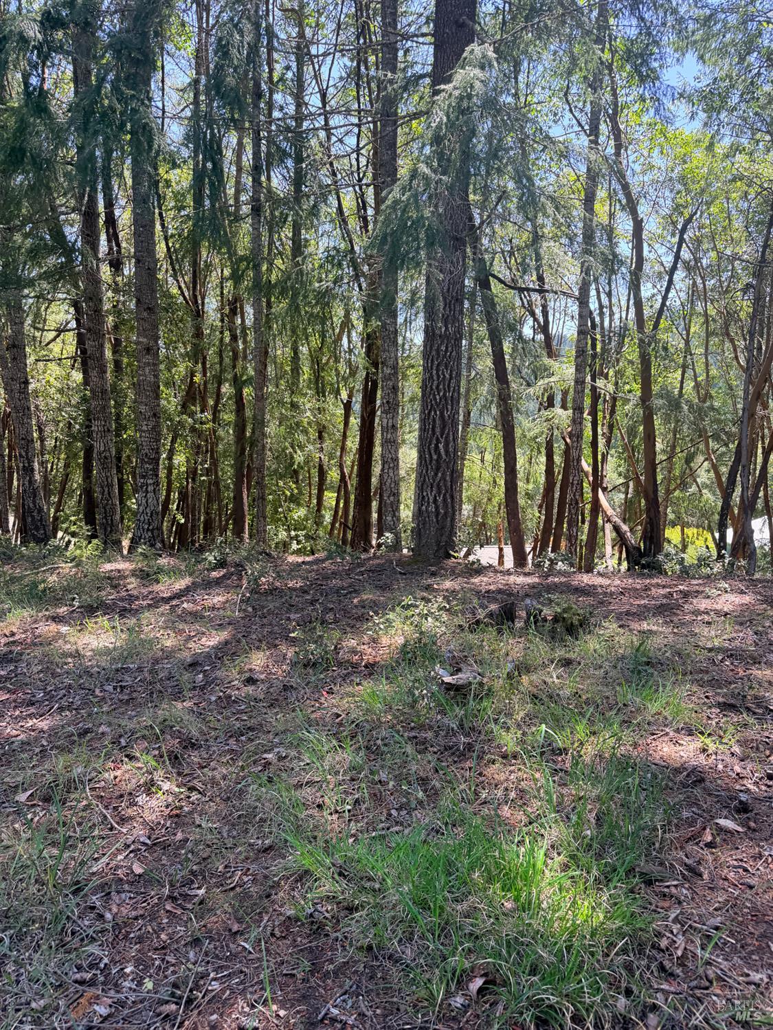 26940 Bear Drive Willits CA 95490