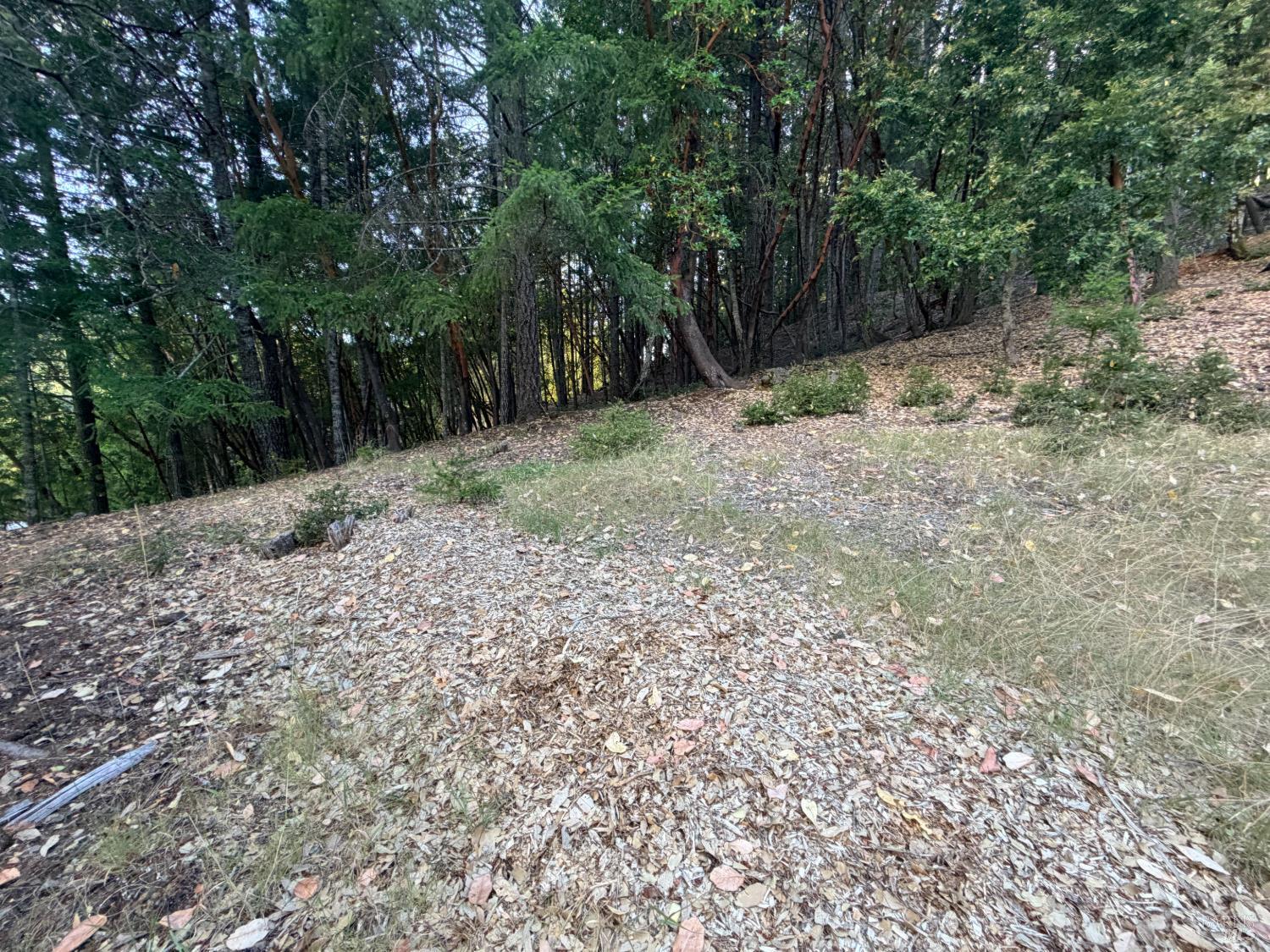 26940 Bear Drive Willits CA 95490