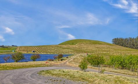 2590 Chileno Valley Road Petaluma CA 94952