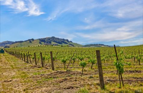 2590 Chileno Valley Road Petaluma CA 94952