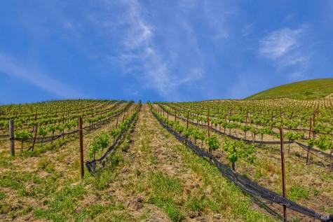 2590 Chileno Valley Road Petaluma CA 94952