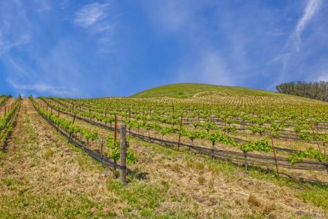 2590 Chileno Valley Road Petaluma CA 94952