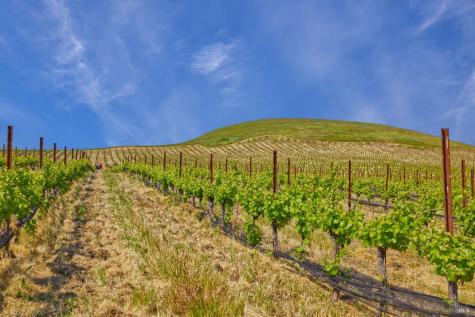 2590 Chileno Valley Road Petaluma CA 94952