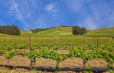 2590 Chileno Valley Road Petaluma CA 94952