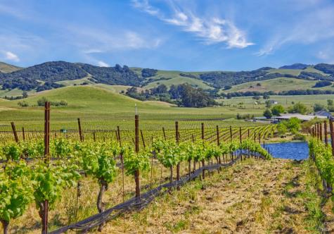 2590 Chileno Valley Road Petaluma CA 94952