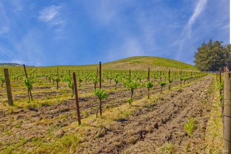 2590 Chileno Valley Road Petaluma CA 94952