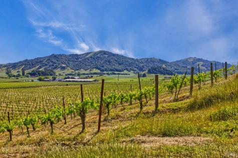 2590 Chileno Valley Road Petaluma CA 94952