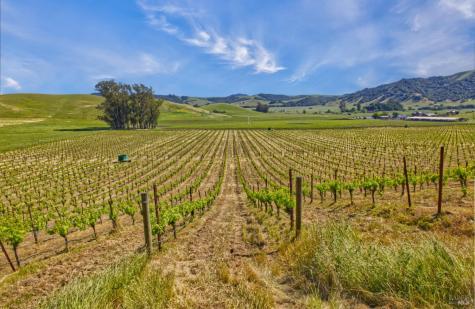 2590 Chileno Valley Road Petaluma CA 94952