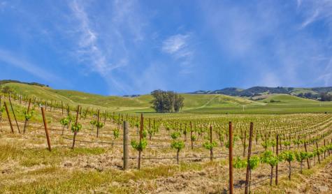 2590 Chileno Valley Road Petaluma CA 94952