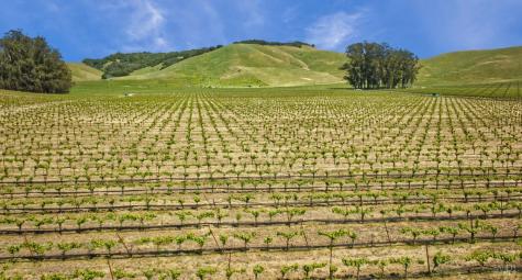 2590 Chileno Valley Road Petaluma CA 94952