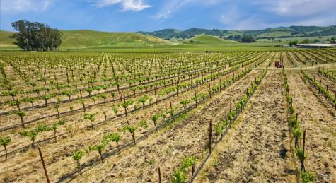 2590 Chileno Valley Road Petaluma CA 94952