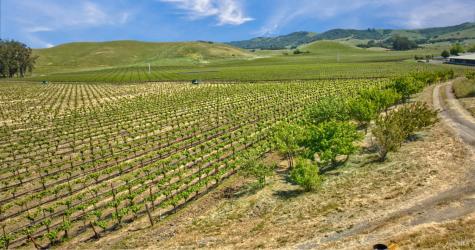 2590 Chileno Valley Road Petaluma CA 94952