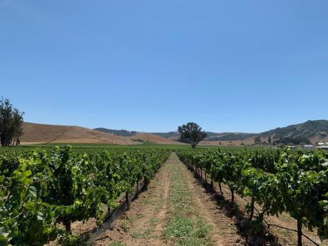 2590 Chileno Valley Road Petaluma CA 94952