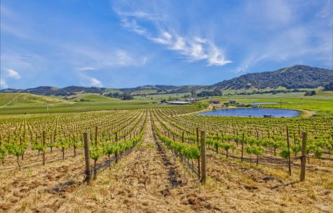 2590 Chileno Valley Road Petaluma CA 94952