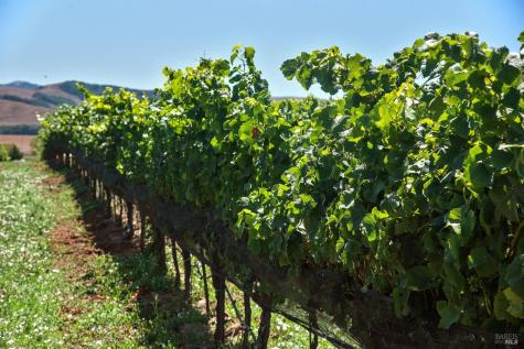 2590 Chileno Valley Road Petaluma CA 94952