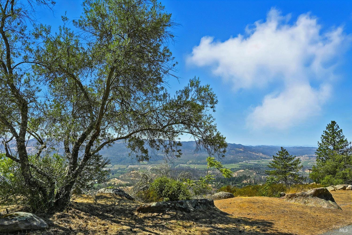 1200 Crestmont Drive Angwin CA 94508