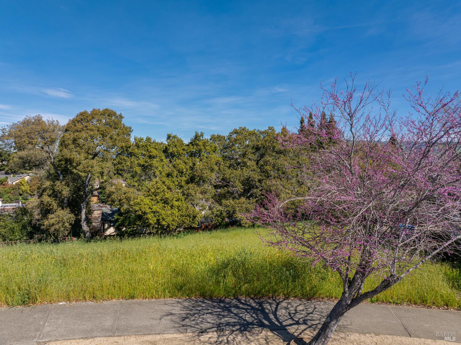 513 Larch Drive Petaluma CA 94952