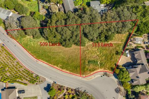 513 Larch Drive Petaluma CA 94952