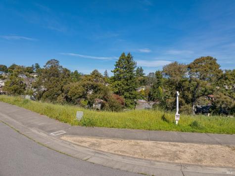 513 Larch Drive Petaluma CA 94952