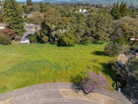 513 Larch Drive Petaluma CA 94952