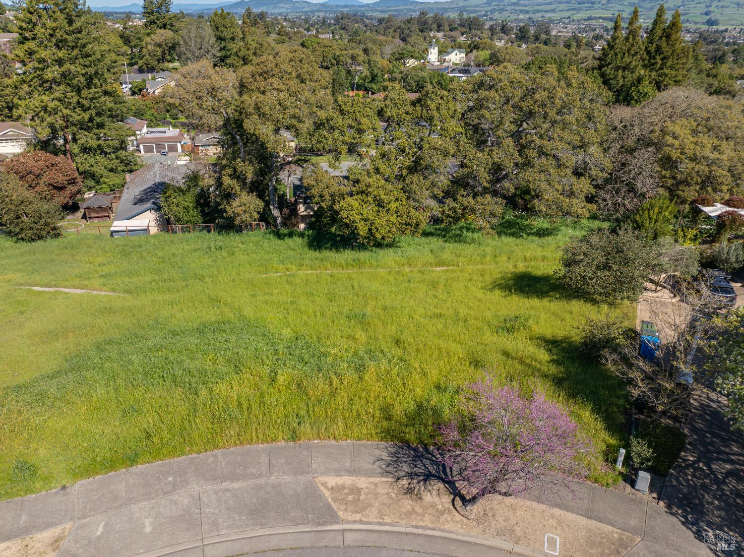 513 Larch Drive Petaluma CA 94952