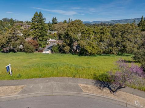513 Larch Drive Petaluma CA 94952