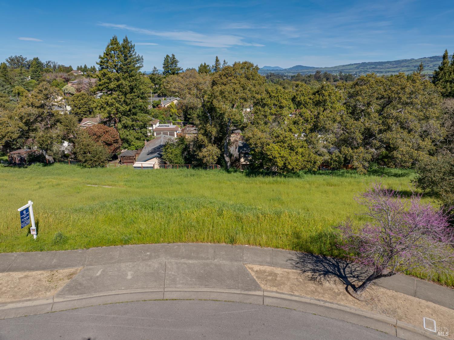 513 Larch Drive Petaluma CA 94952