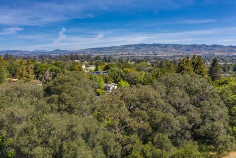 513 Larch Drive Petaluma CA 94952