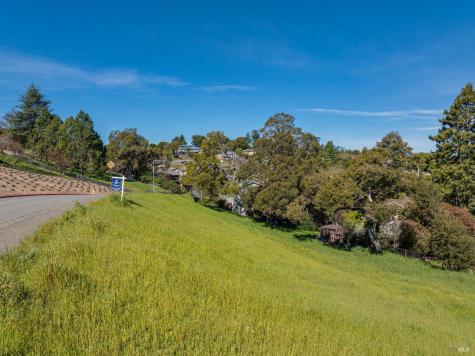 513 Larch Drive Petaluma CA 94952