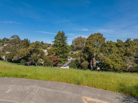 513 Larch Drive Petaluma CA 94952