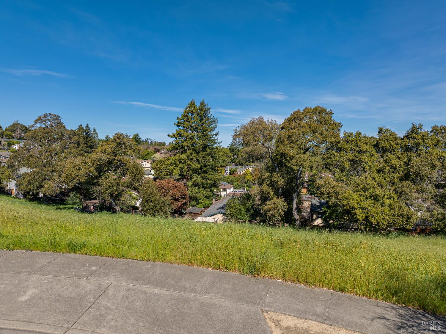 513 Larch Drive Petaluma CA 94952