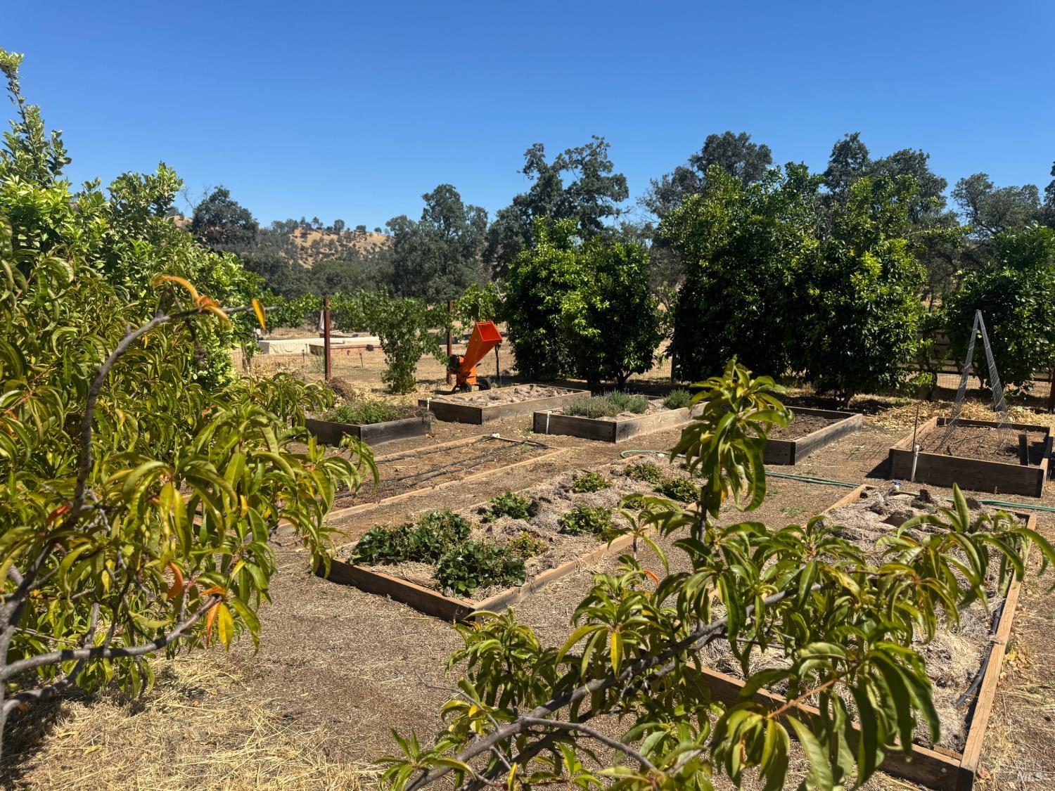 8600 Pleasants Valley Road Winters CA 95694