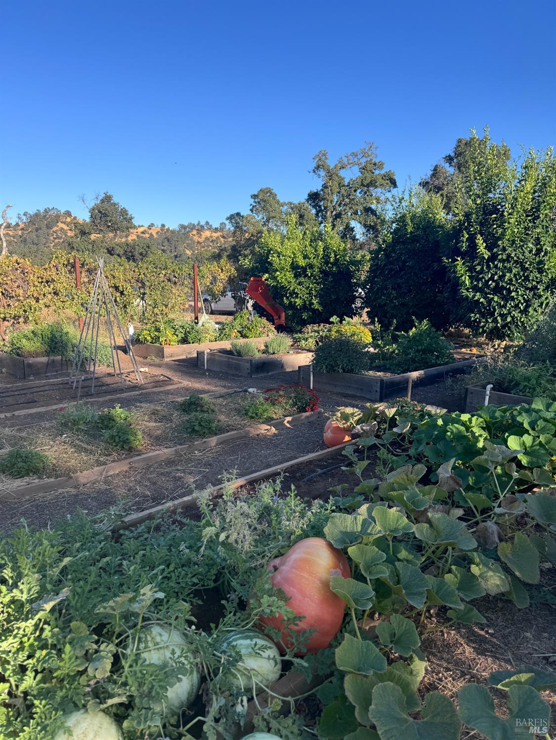 8600 Pleasants Valley Road Winters CA 95694