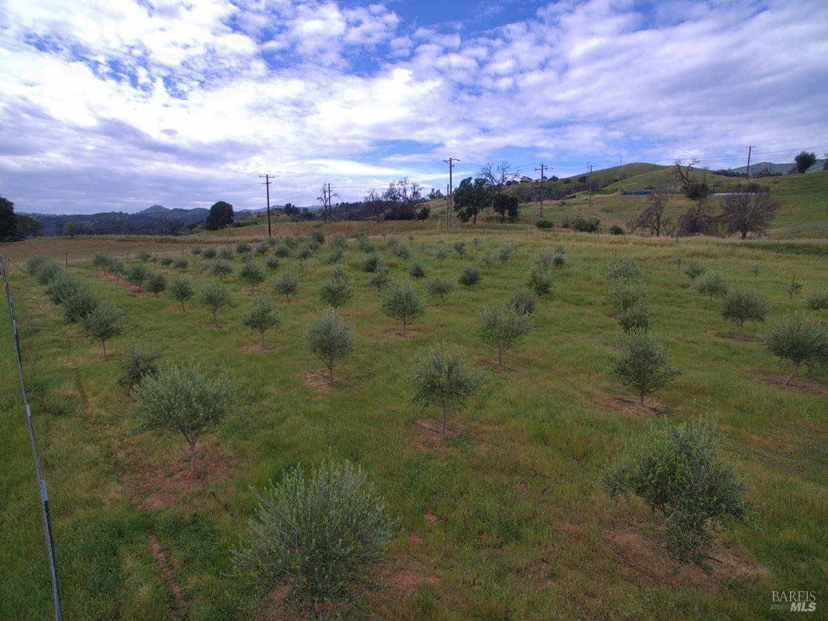 8600 Pleasants Valley Road Winters CA 95694