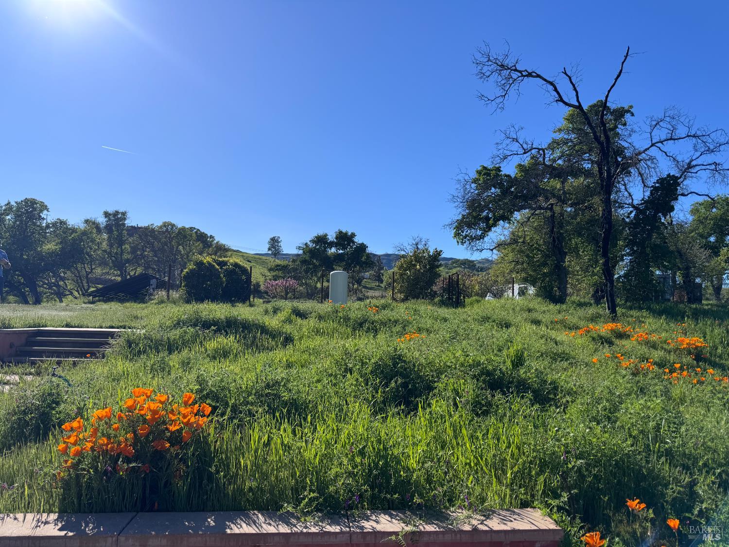 8600 Pleasants Valley Road Winters CA 95694