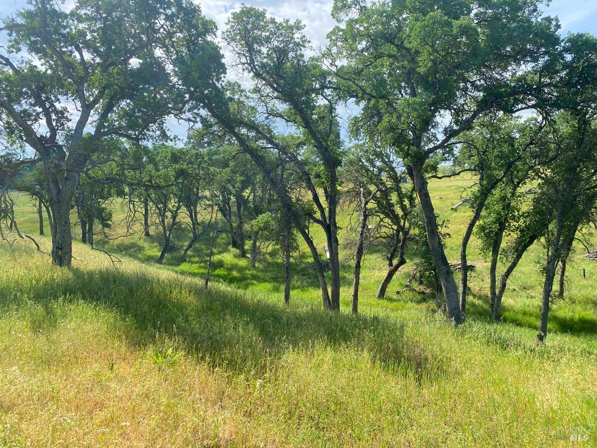 8600 Pleasants Valley Road Winters CA 95694