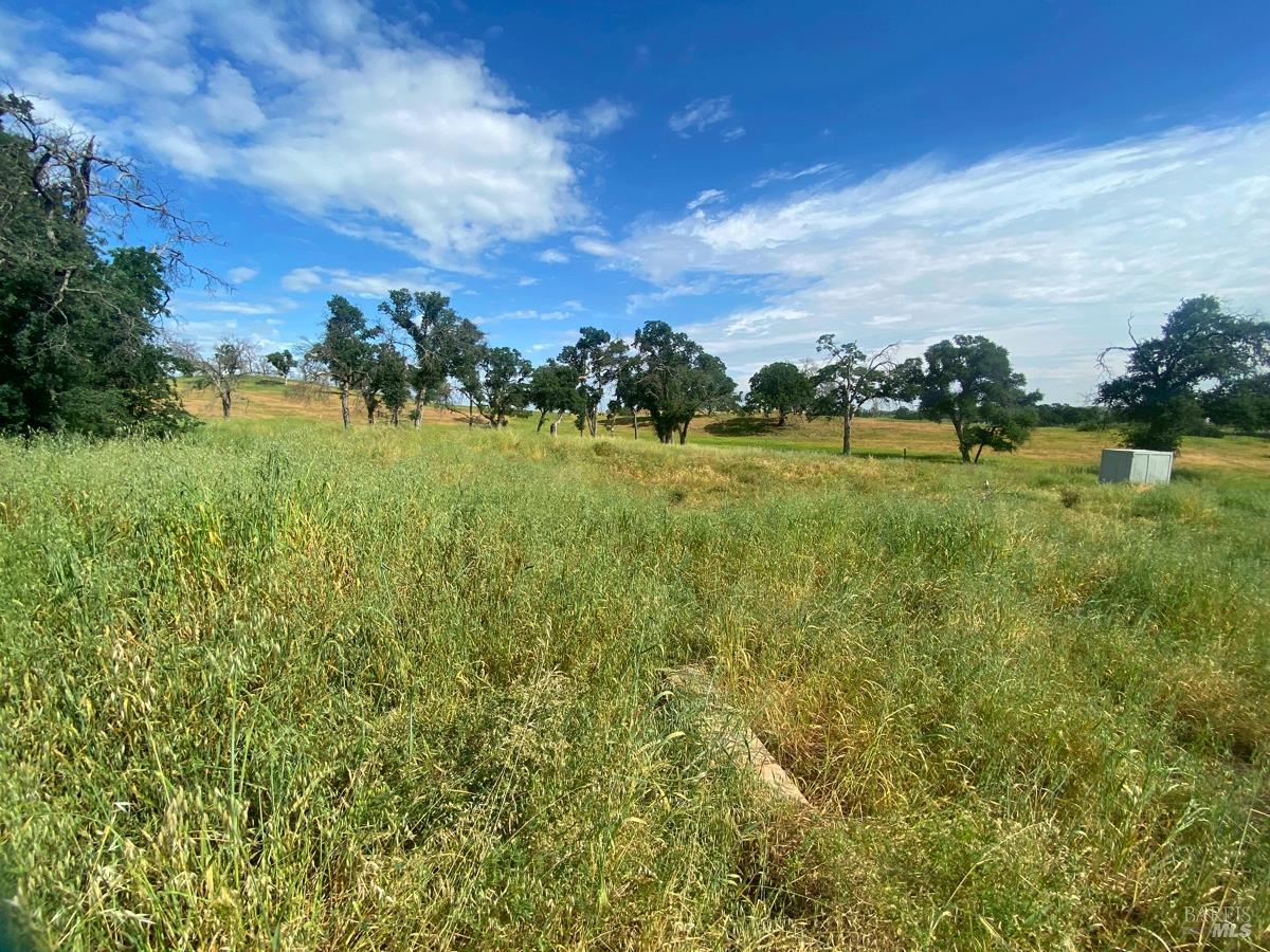 8600 Pleasants Valley Road Winters CA 95694