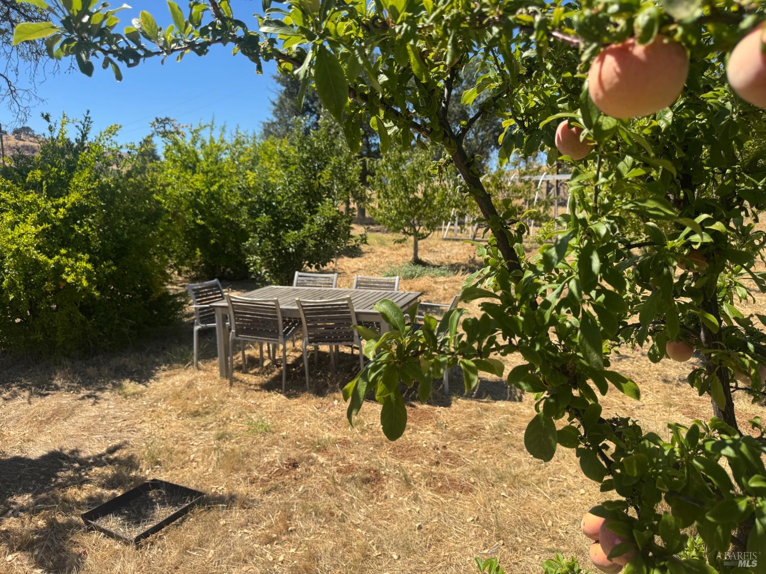 8600 Pleasants Valley Road Winters CA 95694