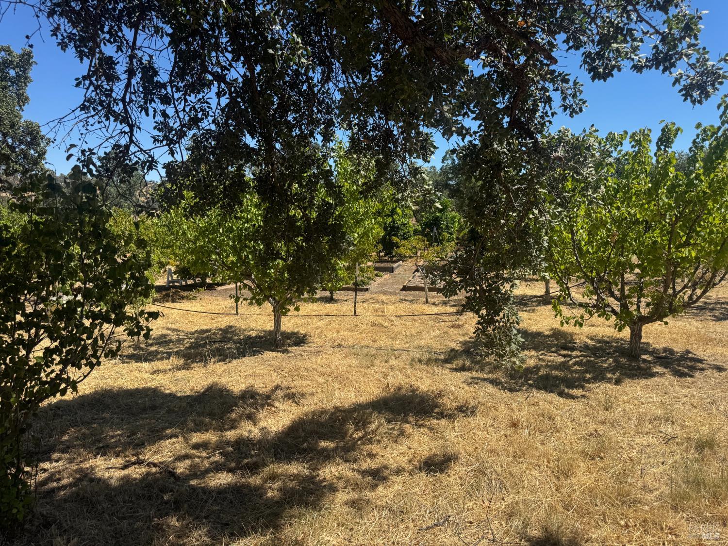 8600 Pleasants Valley Road Winters CA 95694