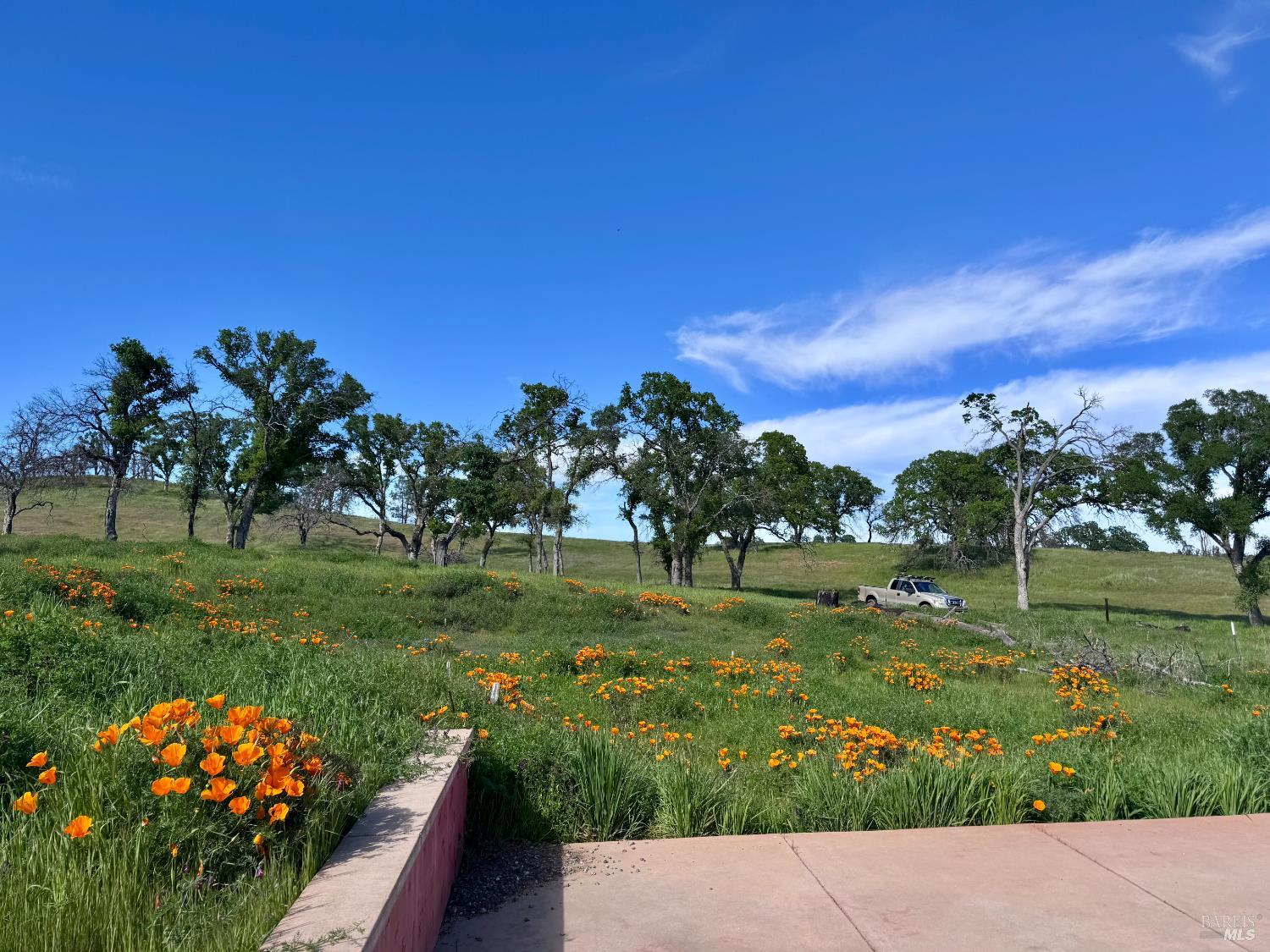 8600 Pleasants Valley Road Winters CA 95694