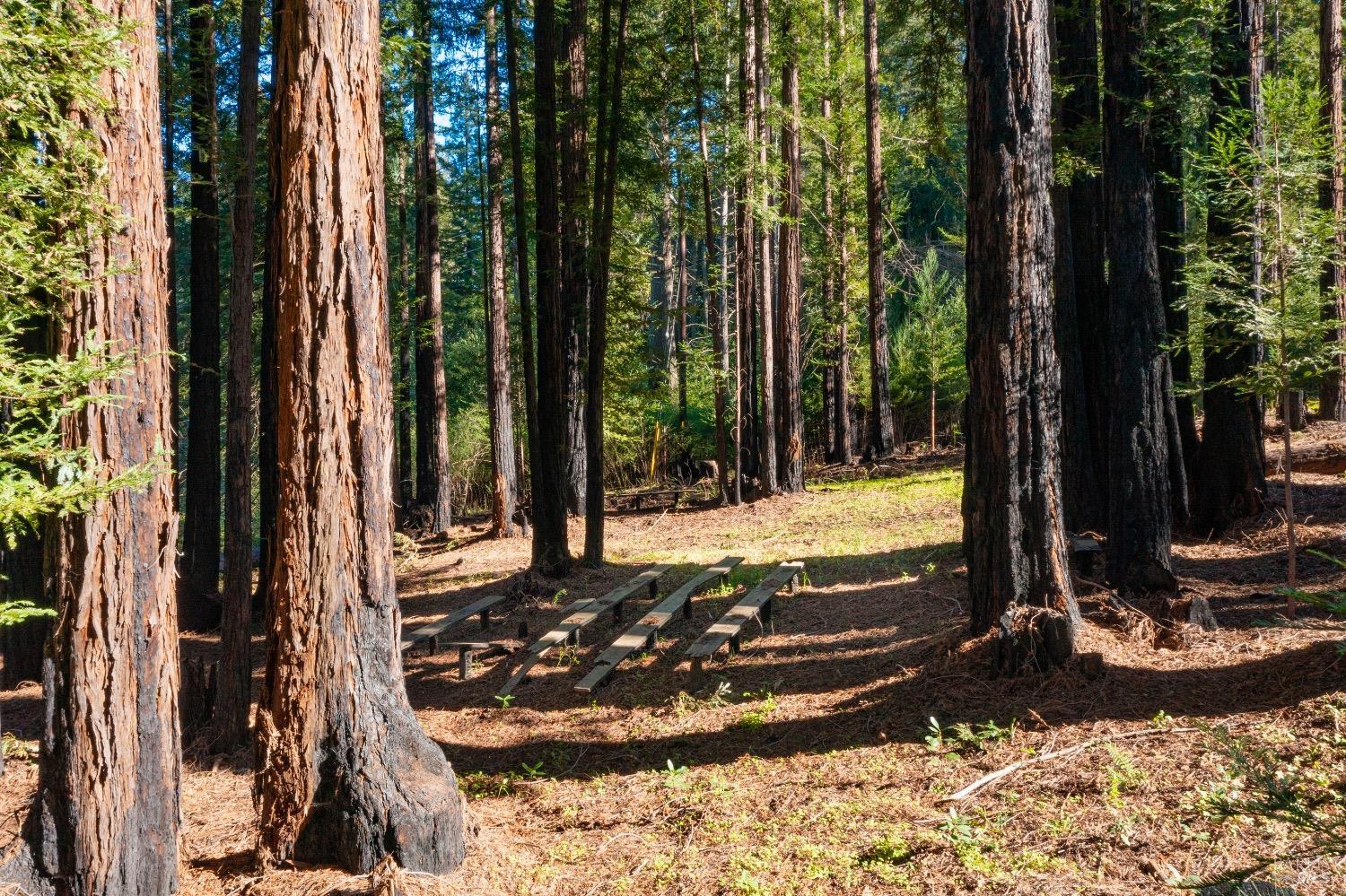 18276 Highway 128 Calistoga CA 94515