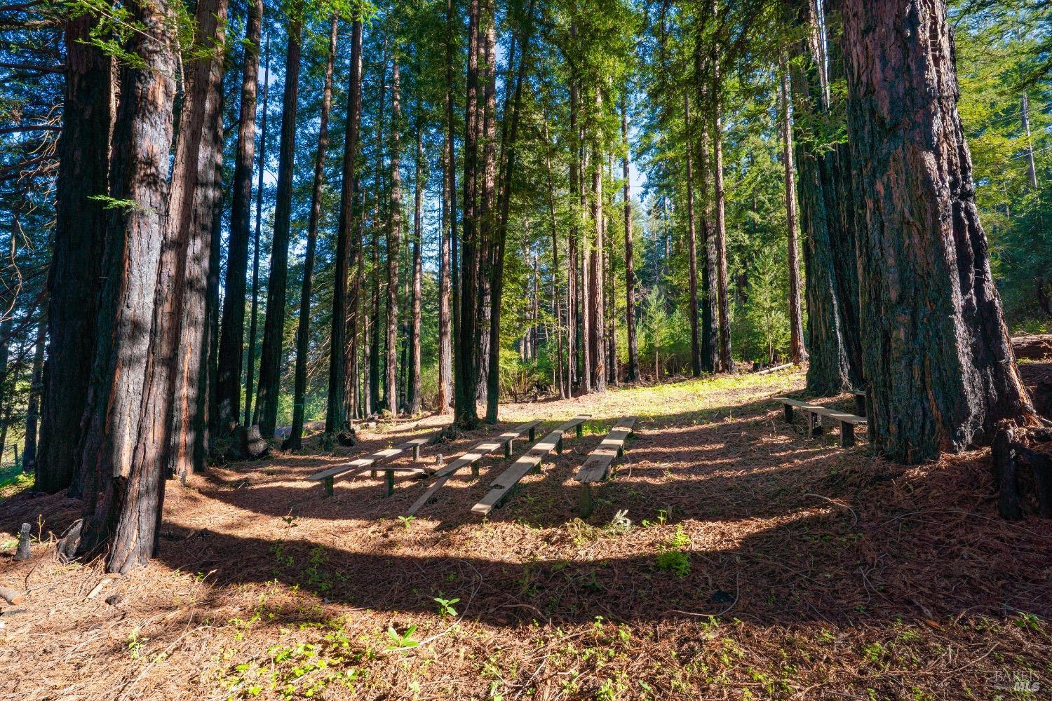 18276 Highway 128 Calistoga CA 94515
