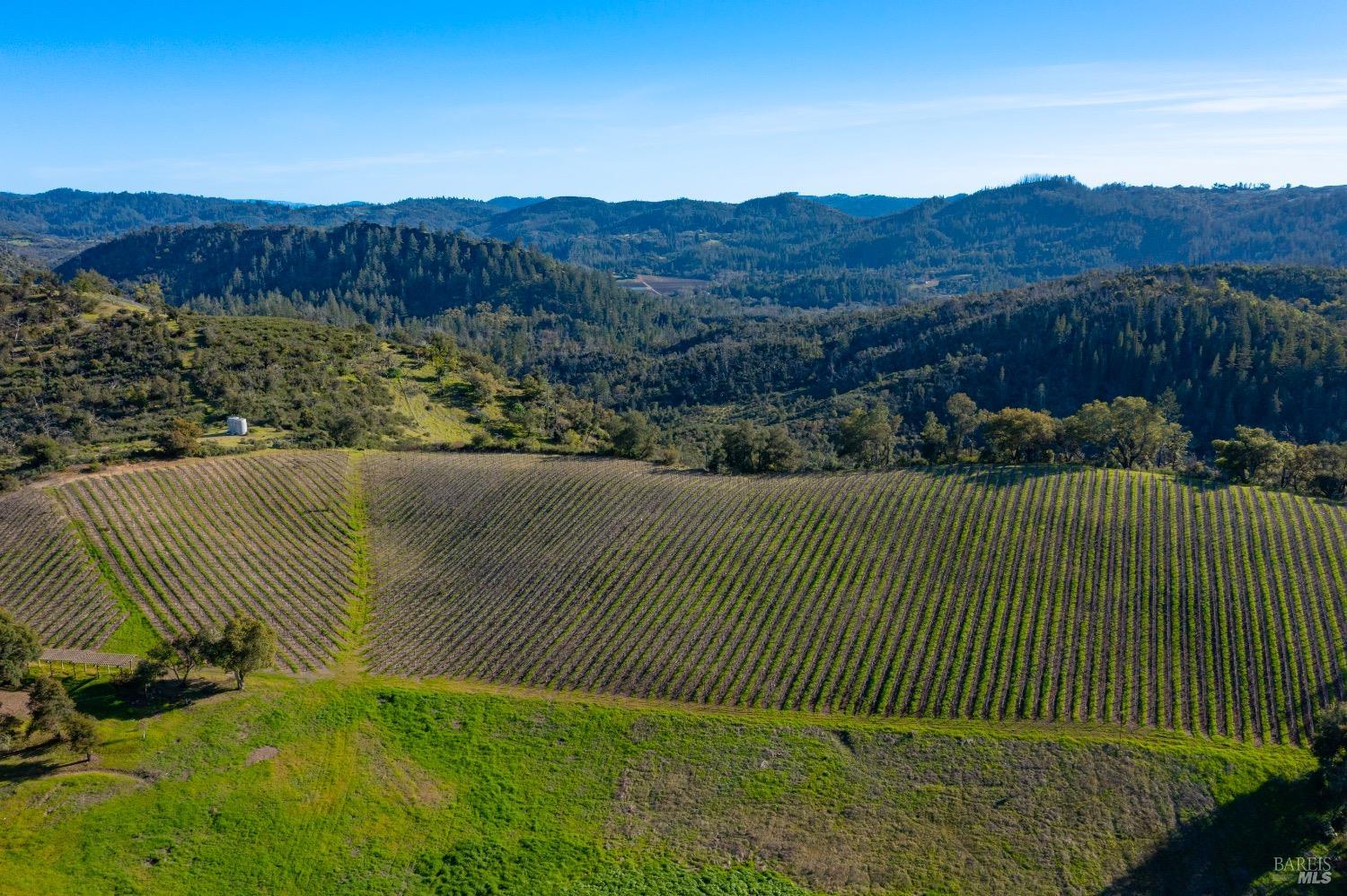 18276 Highway 128 Calistoga CA 94515