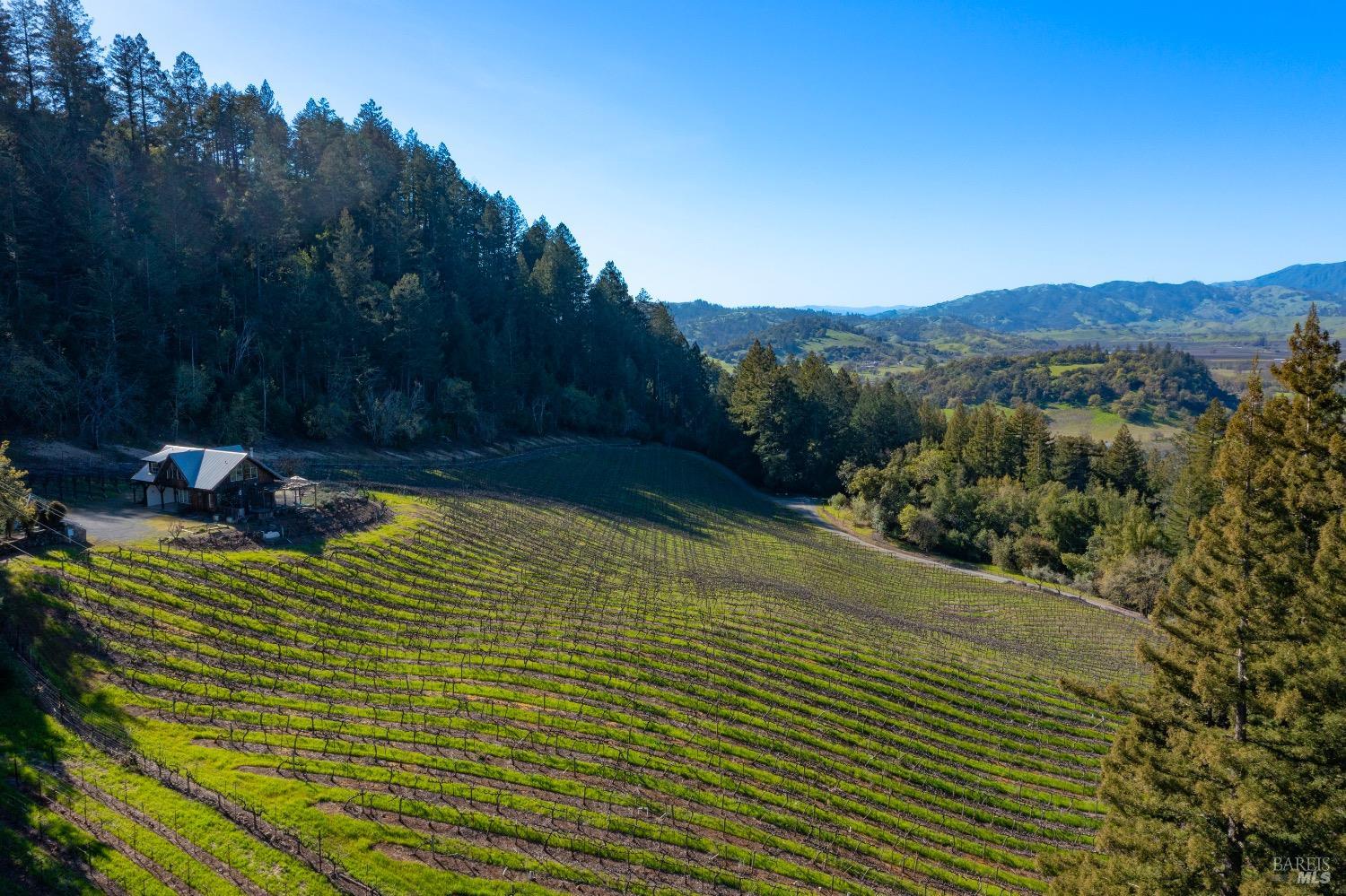 18276 Highway 128 Calistoga CA 94515