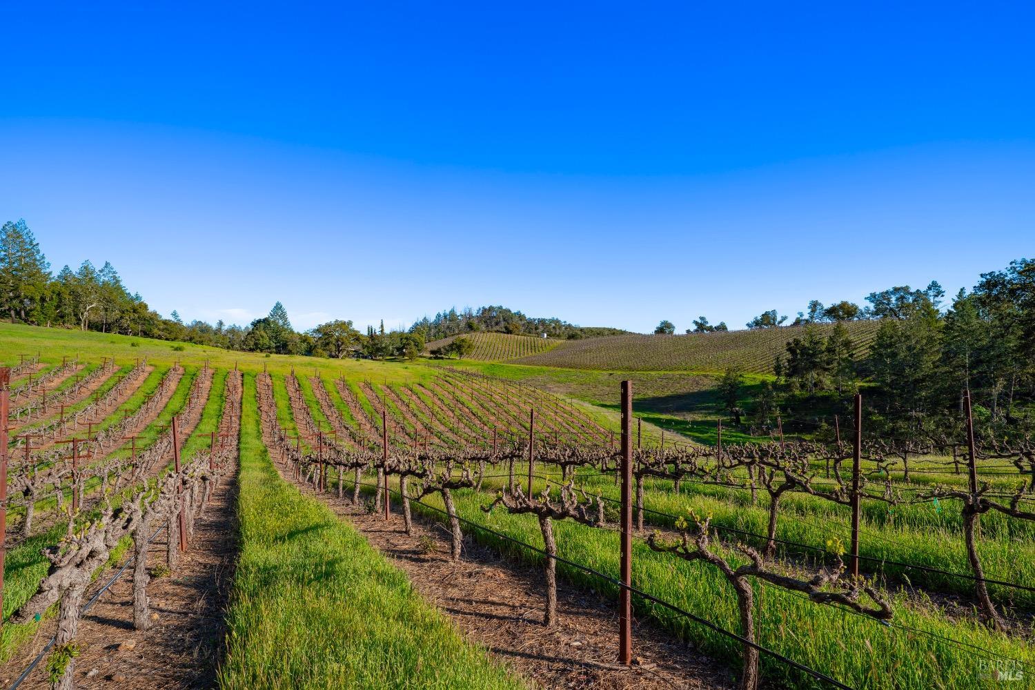 18276 Highway 128 Calistoga CA 94515