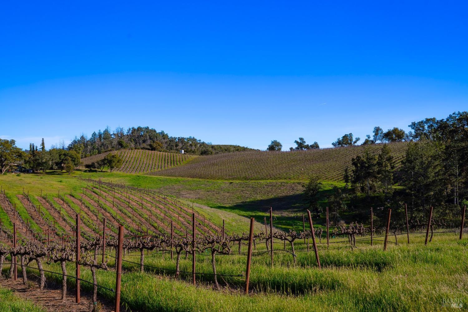 18276 Highway 128 Calistoga CA 94515
