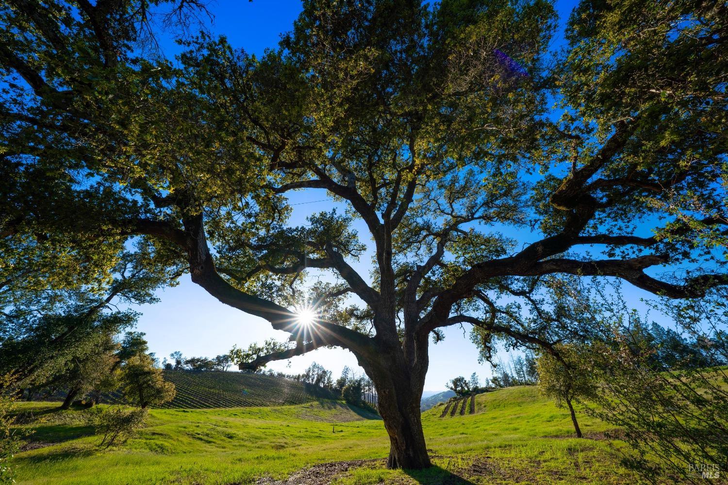 18276 Highway 128 Calistoga CA 94515